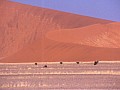 Namib desert- Sossusvlei 0018