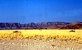 Namib desert- Sossusvlei 0019