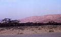 Namib desert- Sossusvlei 0021