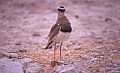 Parco Etosha 0002