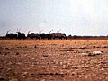 Parco Etosha 0007