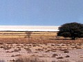 Parco Etosha 0042