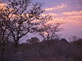 Parco Etosha 0058