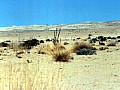 Verso Swakopmund 0003