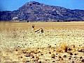 Verso Swakopmund 0006