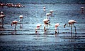 Walvis Bay 0001
