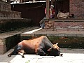 Kathmandu-Durbar square-0013