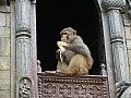 Kathmandu-Pashupati-0017