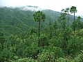 Nagarkot-0003