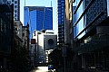 008 Auckland