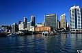 025 Auckland