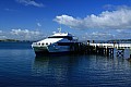 034 Auckland - Isola di Rangitoto