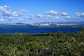 037 Auckland - Isola di Rangitoto