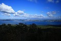 040 Auckland - Isola di Rangitoto