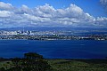 041 Auckland - Isola di Rangitoto
