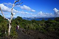 047 Auckland - Isola di Rangitoto