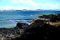052 Auckland - Isola di Rangitoto