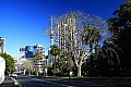 103 Auckland