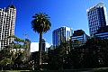 104 Auckland