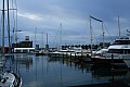 117 Auckland
