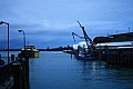119 Auckland