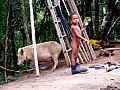 0019 Madang - Rainforest Area