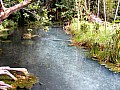 0021 Madang - Balek Wildlife Sanctuary