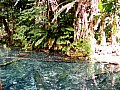 0022 Madang - Balek Wildlife Sanctuary