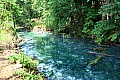 0024 Madang - Balek Wildlife Sanctuary