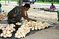 0033 Sepik River - Verso Pagwi
