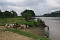 0034 Sepik River - Pagwi