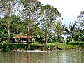 0042 Upper Sepik River - Ambunti
