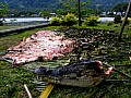 0045 Upper Sepik River - Ambunti