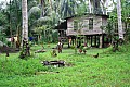 0060 Middle Sepik River - Kanganaman