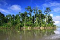 0076 Middle Sepik River - Verso Kaminambit