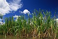0119 Chambri Lakes