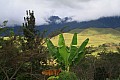 0259 Goroka