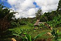 0261 Goroka