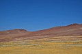 050 Paracas