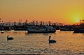 053 Paracas
