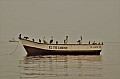 054 Isole Ballestas