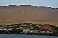 055 Isole Ballestas