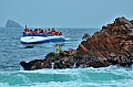 058 Isole Ballestas