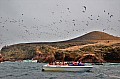 063 Isole Ballestas