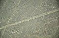 088 Nazca