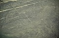 091 Nazca