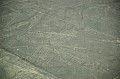 094 Nazca