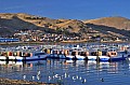 202 Puno