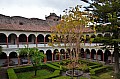 252 Cusco