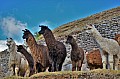293 Sacsaywaman